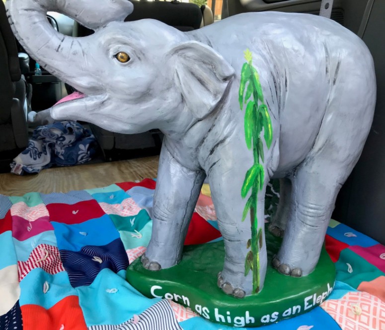 high_as_elephants_eye